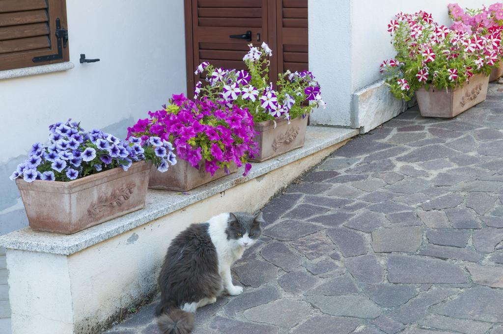 B&B Le Fresie Nuoro  Bagian luar foto